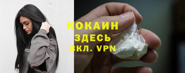 тгк Горнозаводск
