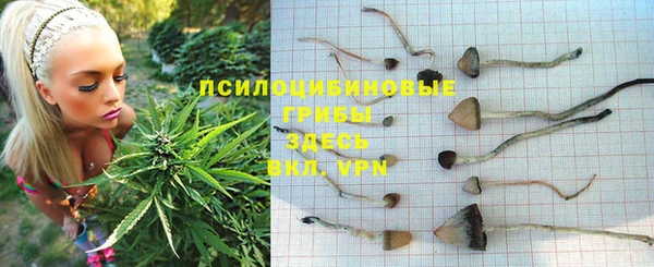 тгк Горнозаводск